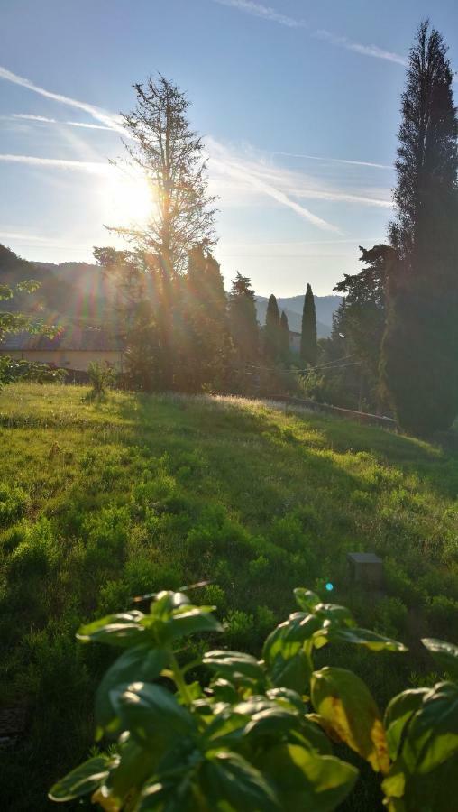 Palazzo Boccella Guest House Villa Basilica Bagian luar foto