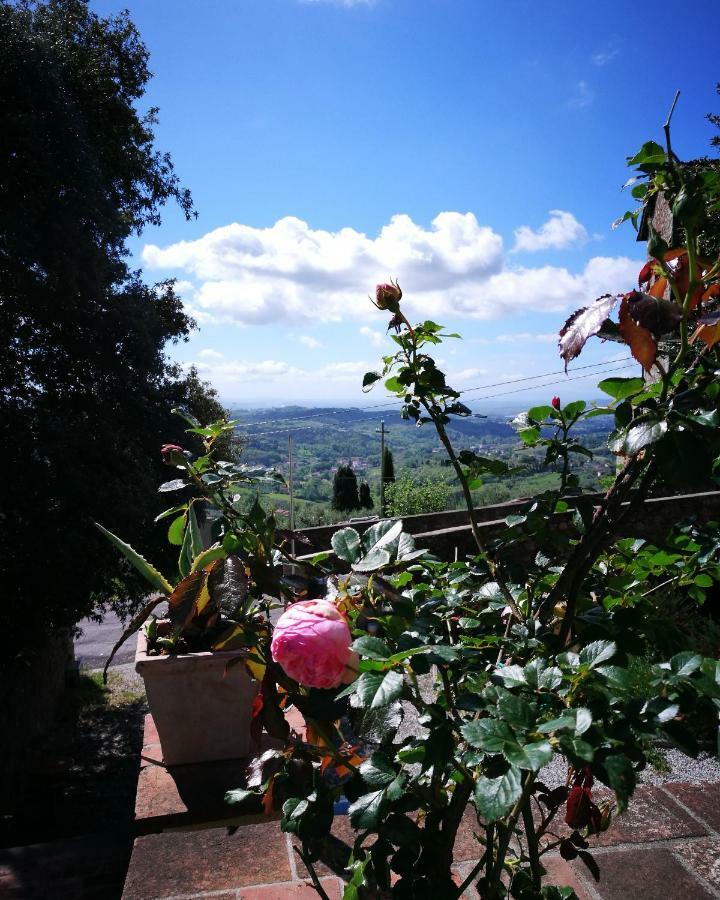 Palazzo Boccella Guest House Villa Basilica Bagian luar foto
