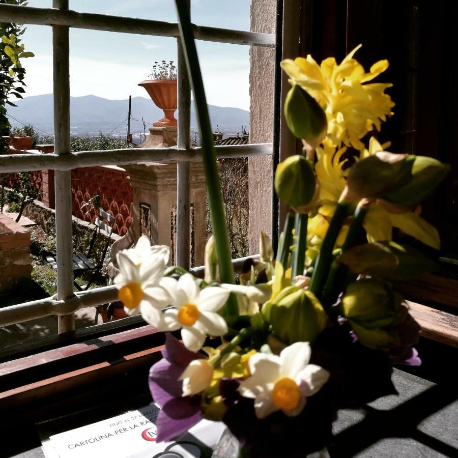 Palazzo Boccella Guest House Villa Basilica Bagian luar foto
